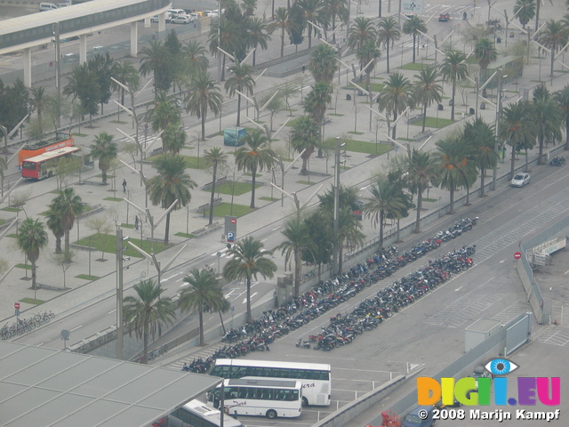 20626 Palmtrees and motorbikes